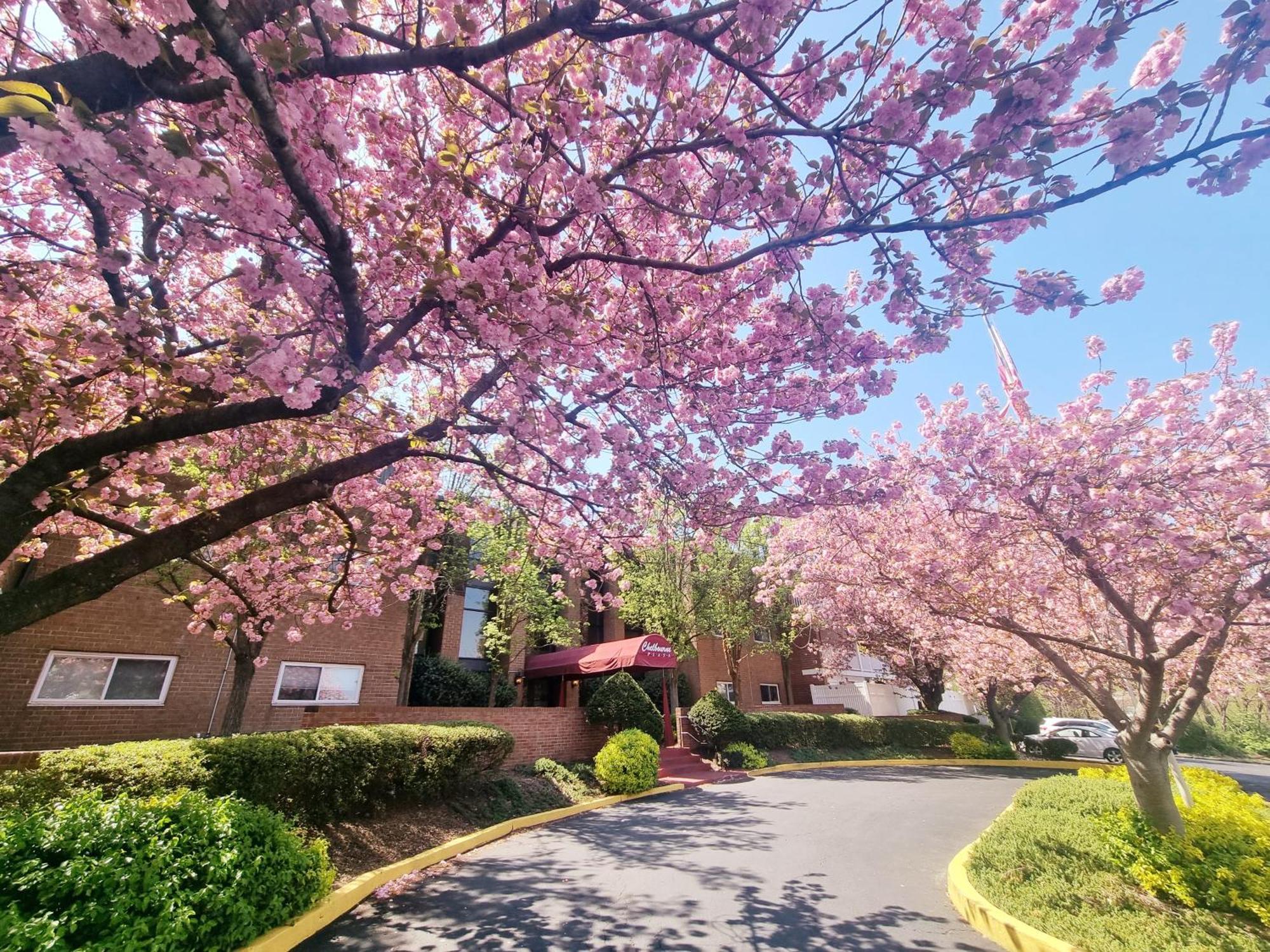 Large, Clean, Comfortable, 1Br Near Einstein Hos Elkins Park المظهر الخارجي الصورة